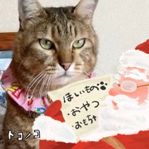 3154b089 e66b 434c b6a5 7ff26b40694c 1730166989462