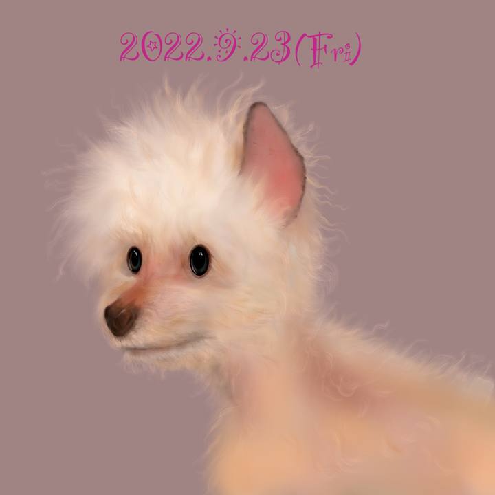 3154cb2a f804 4fad b2a7 8cc4a500d2bd 1663933485684