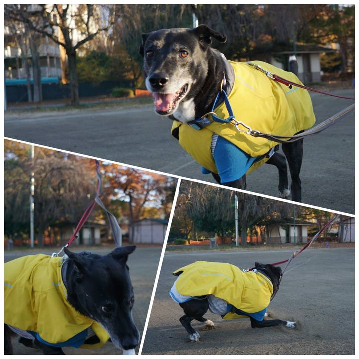 3154d8a1 ad4f 4c59 810d c96941f3a7d4 1765064613474