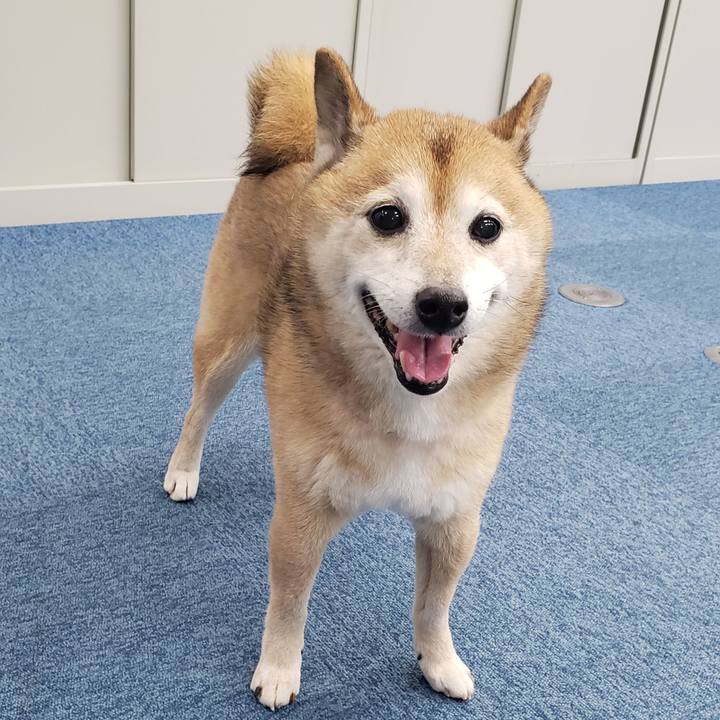 3154db11 d6d9 46ea b8bb 0d910b870cd1 1641778723975