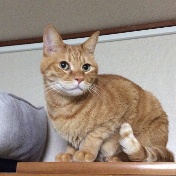 3154dbdd 128c 4de8 b4da fa78e749ef4b 1764679689620