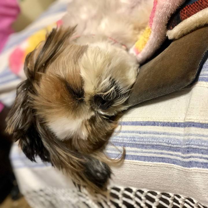 315515ad 5964 4cbc 8d52 7b23f26ede4d 1555645131066