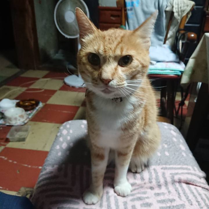 3155209f 7622 495e 9932 59d158363e2a 1594410874395