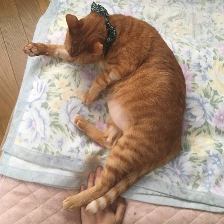 3155542c 95ed 49b2 b8ae 4f8a376498a8 1545950913933