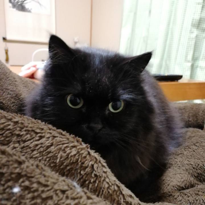 3155658f 9030 4d8e aaa5 38679dec6a5d 1521631315815