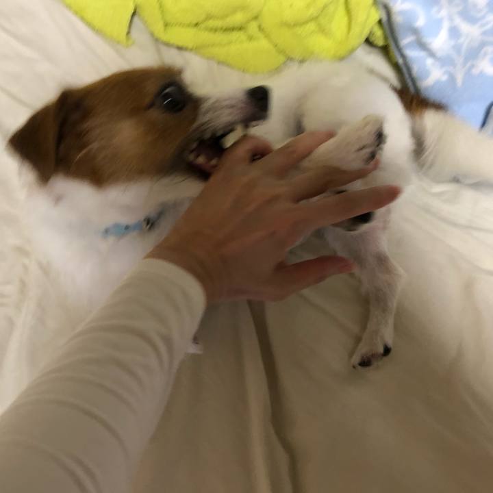 315570ce 1f28 4868 a3b0 8fad0ad81aba 1540128287589