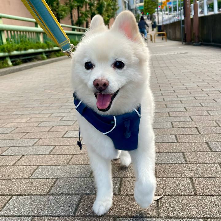 315581f0 4261 4377 9f4e 7331fadaf674 1758788190311