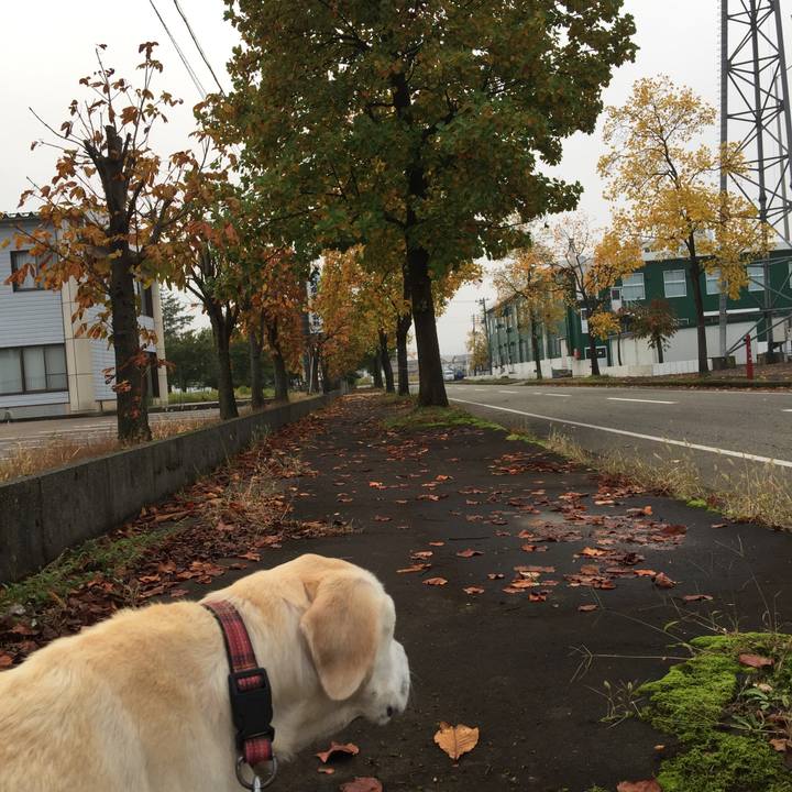 3155833f b8cb 4e20 adf6 89e5a2cb76b9 1508987664230