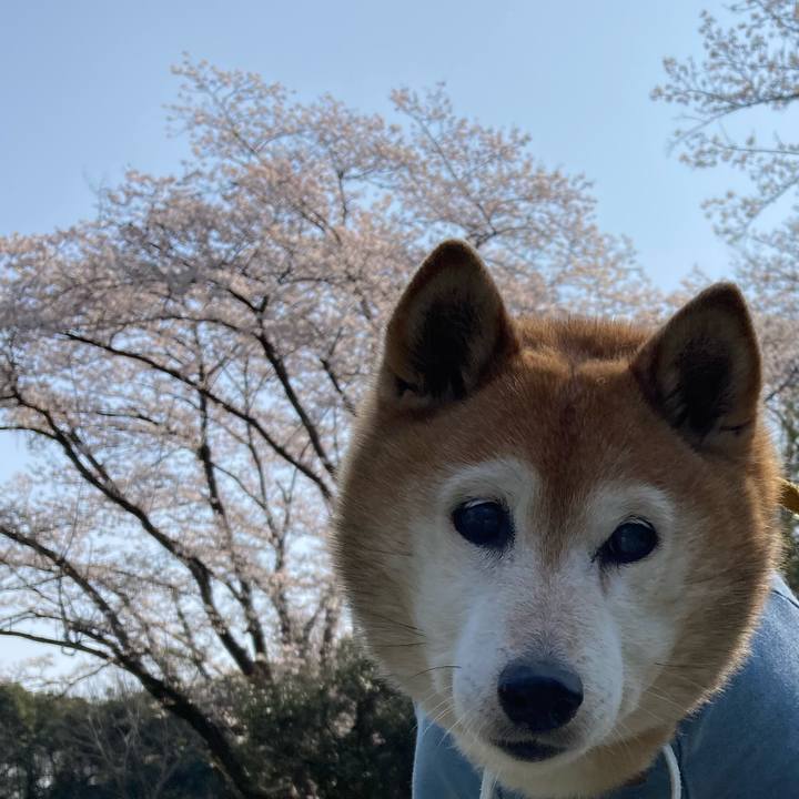 31558bd9 479c 46ec 8842 3bd9c663c61f 1774782888384