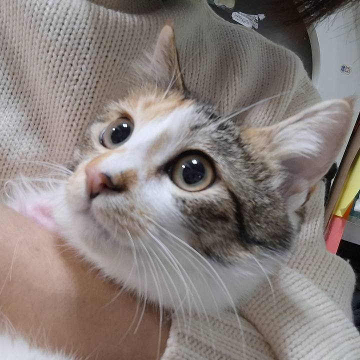 3155ca17 cf32 42ec b27c 0de5a723530f 1770639632510