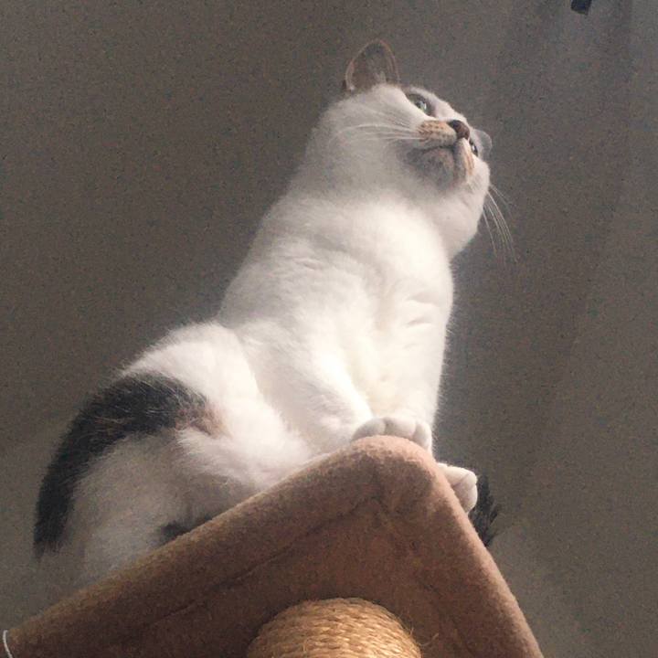 3155e784 f08f 4a75 9f30 f9772d74ae6d 1590571719692