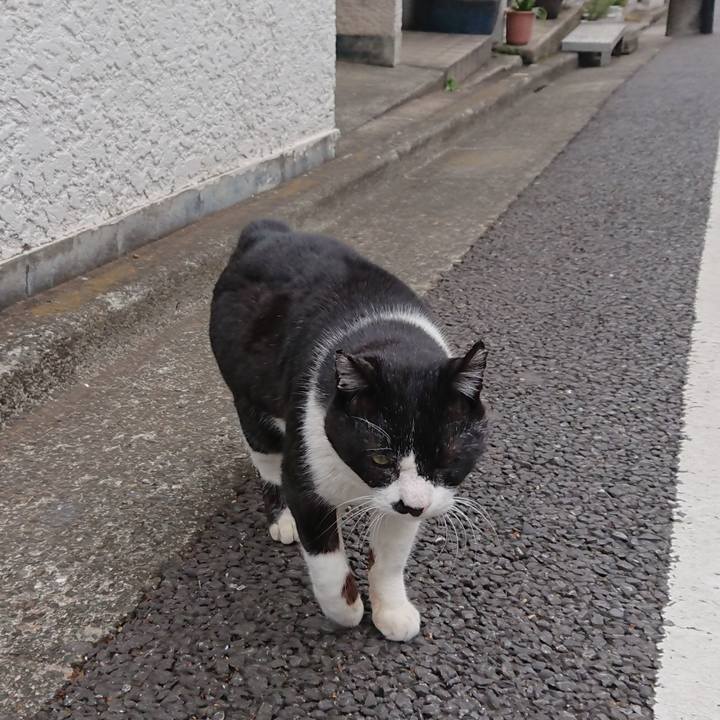 3155fa50 cab7 4e0d 9daa bcfd34af72f1 1673932311045