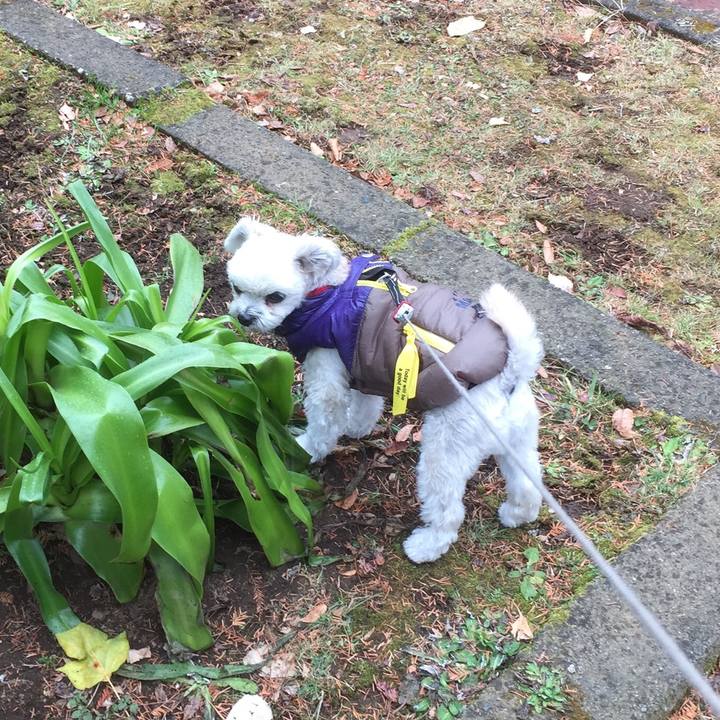 3156373f 66ba 4ea9 ad4f 7b3e2006a99e 1514713477323