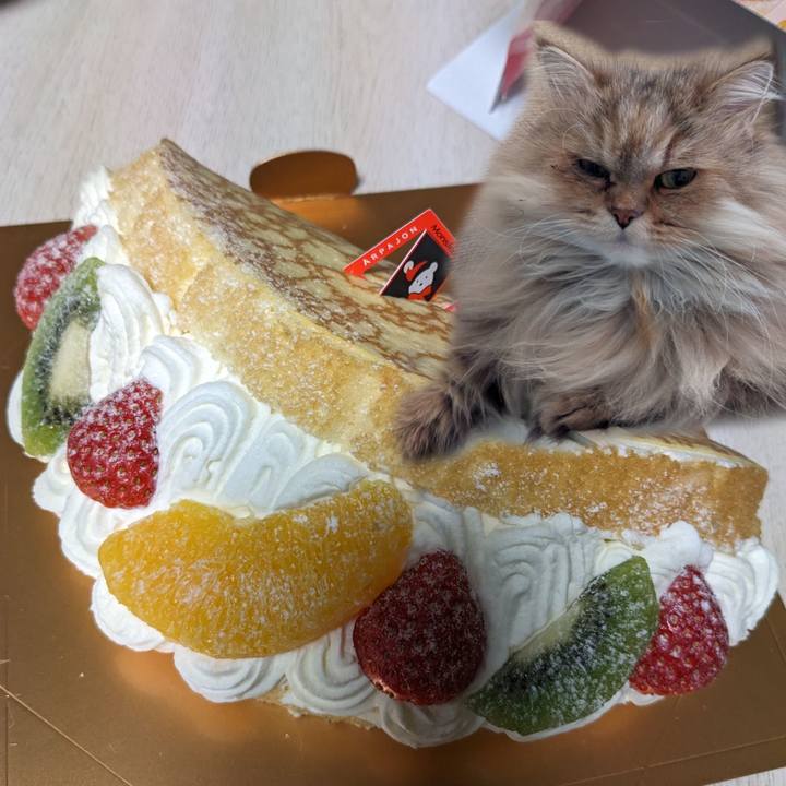 315663cd 6721 425c 8e0f 9e819e444a8c 1700350328673