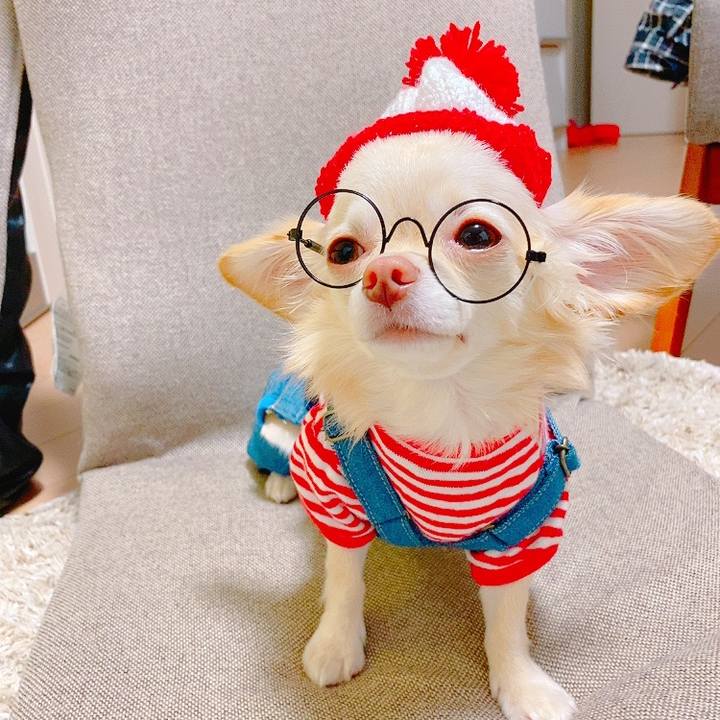 31568700 9bed 4f98 a18e d72c1bc734b4 1634879680096