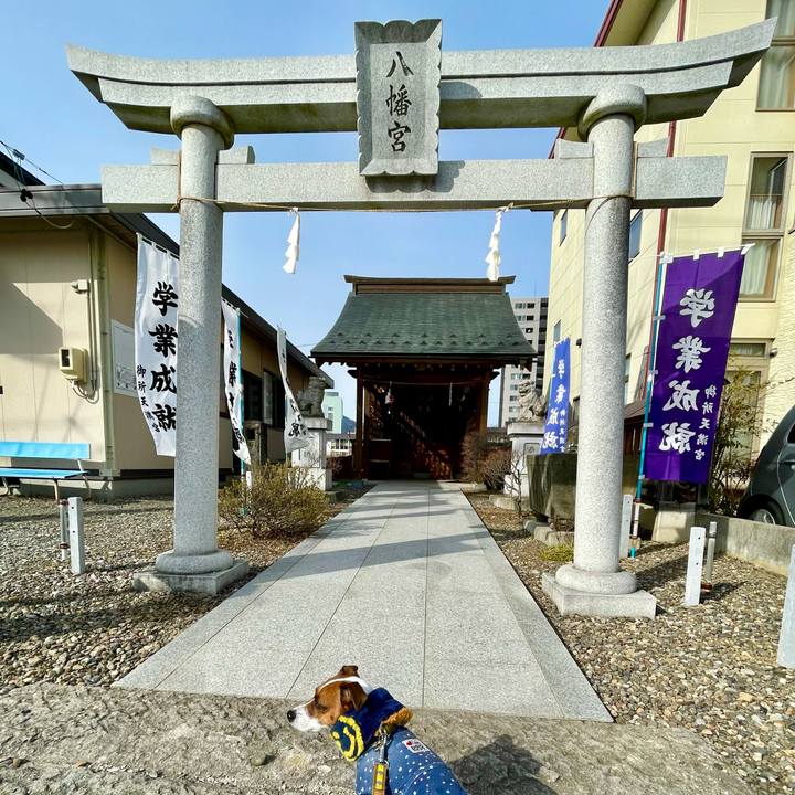 31568a44 f63a 476b 9b06 c4d0334e6d51 1646382679932