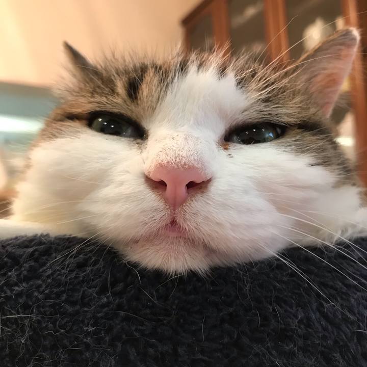 3156931b b8a2 41b0 8b4d 39d5e7ac9895 1561780880559