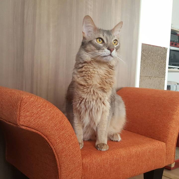 3156d64f c3d6 40e4 8892 8d74636975ae 1551511400124