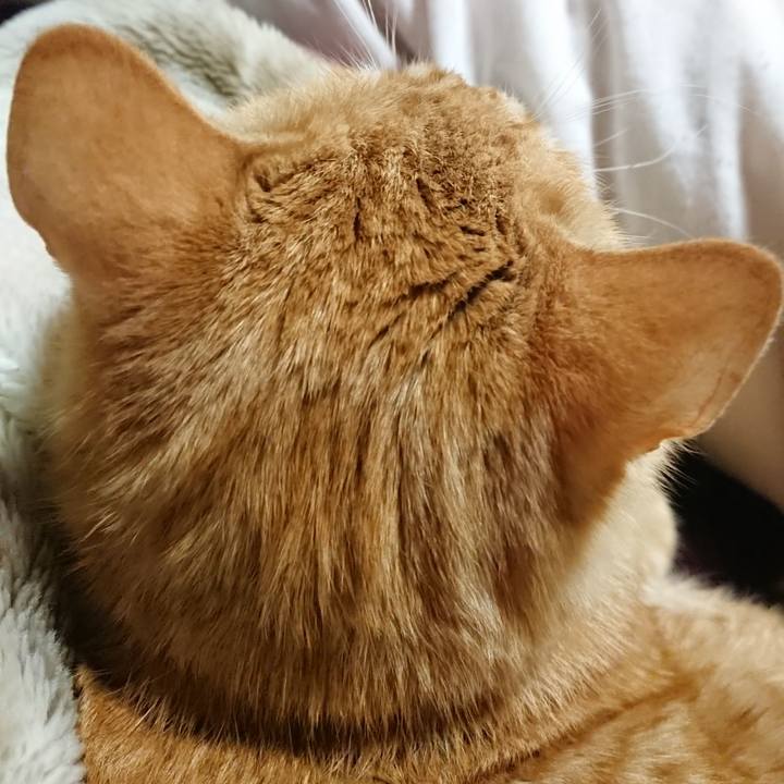 3156fe13 aa1e 4b88 a87b a868d9a255c1 1639139553533