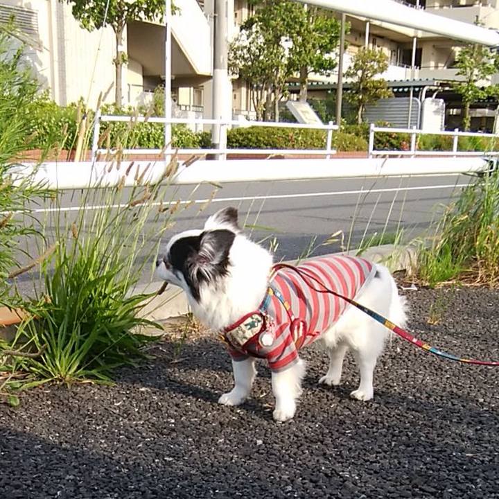 31574390 5596 4d42 b402 5d5845e33427 1526731738085