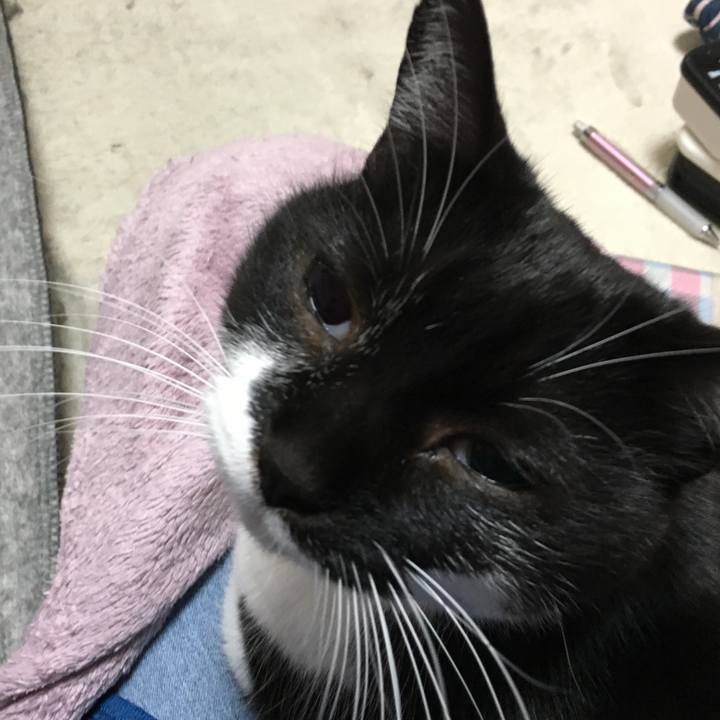 315747a2 0a88 4352 af72 ac8914ca1164 1547299234205