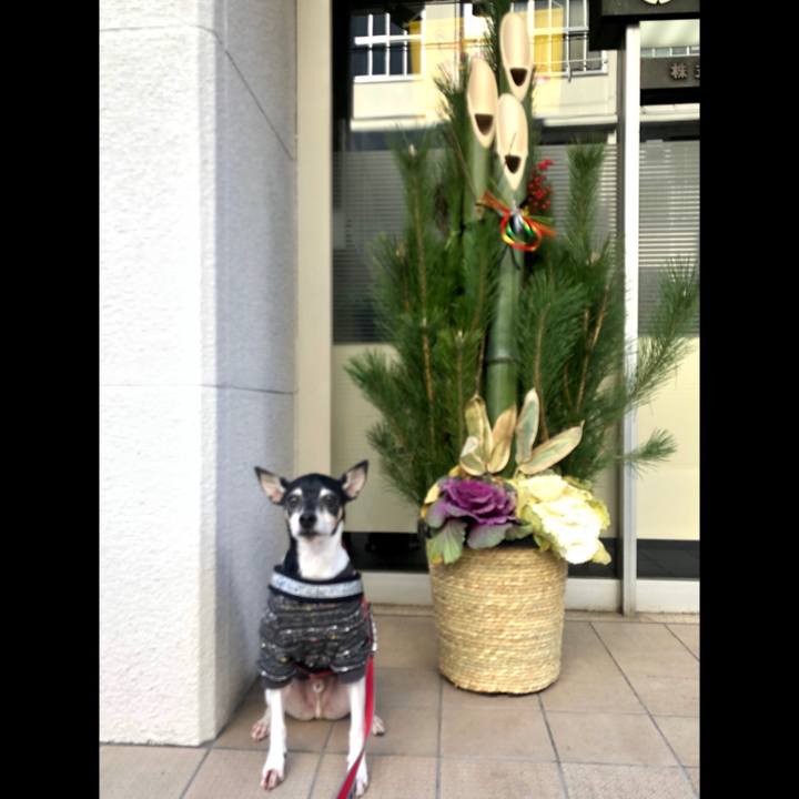 315763cf 26c9 4337 9114 e00ac36ebd86 1546693860868