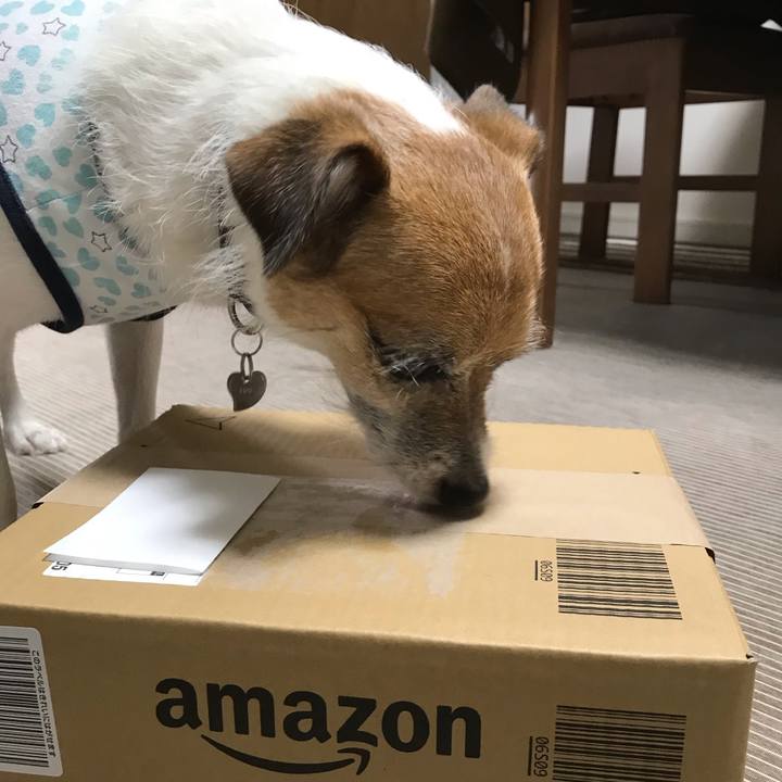 3157803c 3855 4bfb b412 9ec777cfef21 1569319210388