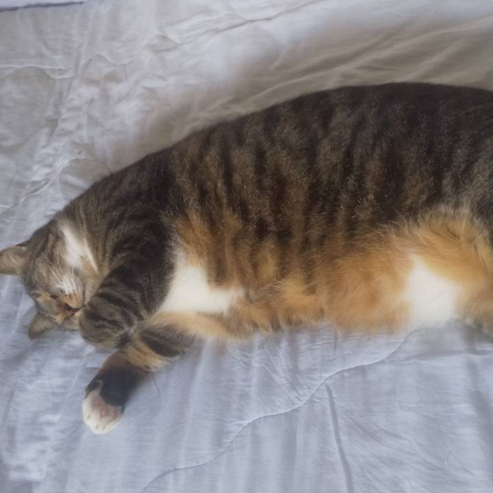 3157977e 74d6 4a56 9f5b e6945a41381a 1750196313007