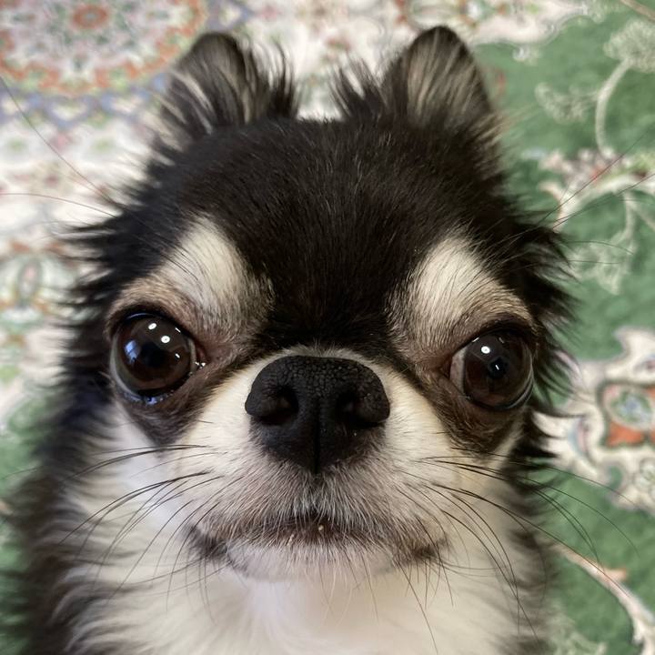 315798be 697b 4dde bc5c a5e5b199f890 1660344780262