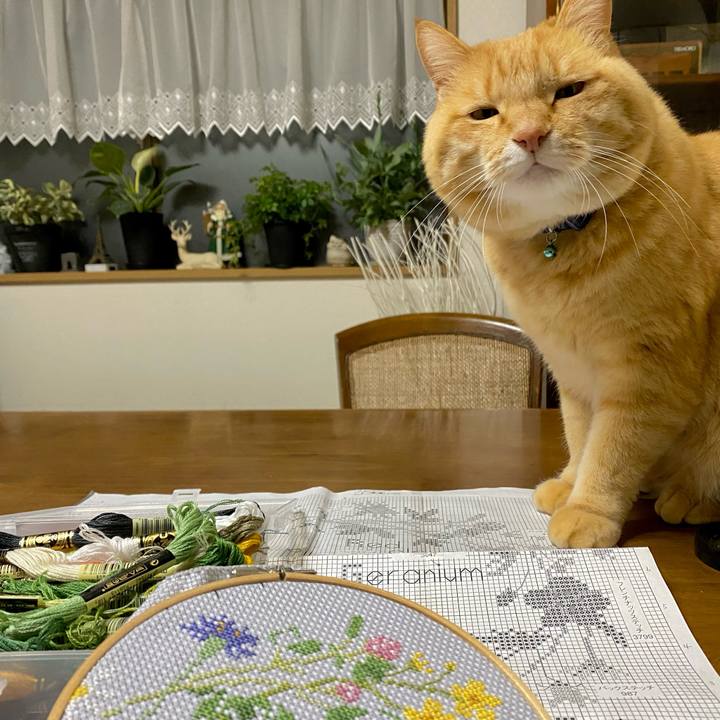 31579d49 97cf 490e aa50 70cd4bf6b2df 1671263999880