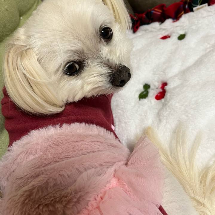 3157cc23 017a 45df 9984 4888bec5a4d5 1675165007522