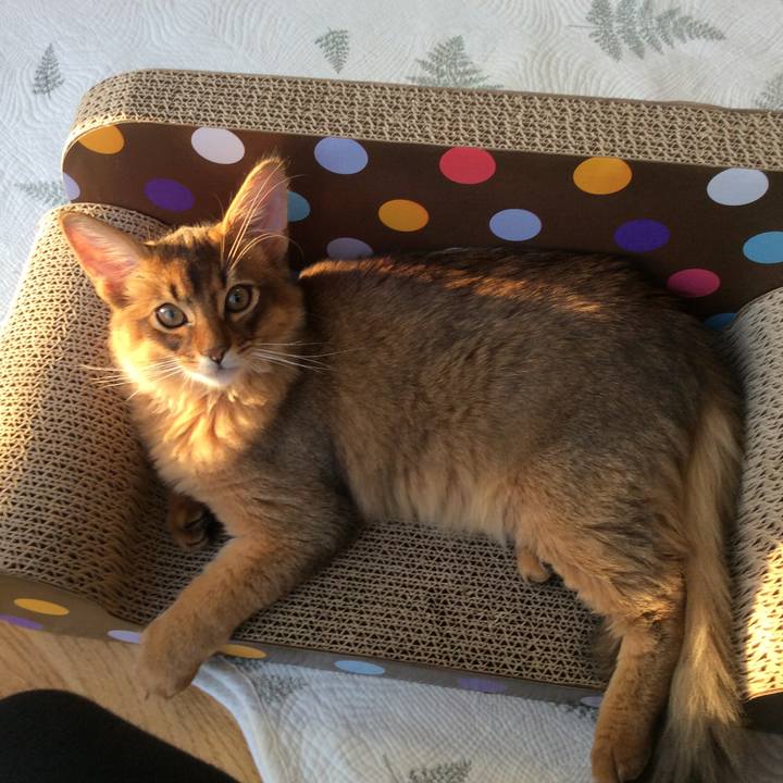 3157efcb cea3 414a 88f8 17c906cad292 1573980966508