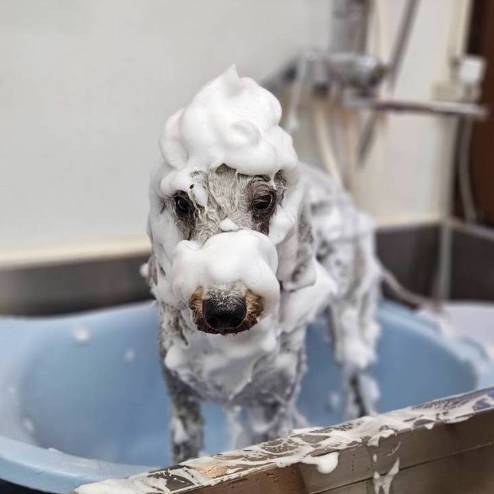 3157f7a9 f711 4628 9c08 b94341877822 1703499420511