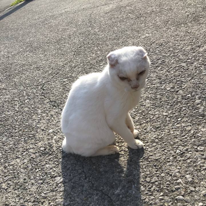 315861f6 0356 4b77 849b 2fe8e57cce65 1555796046772