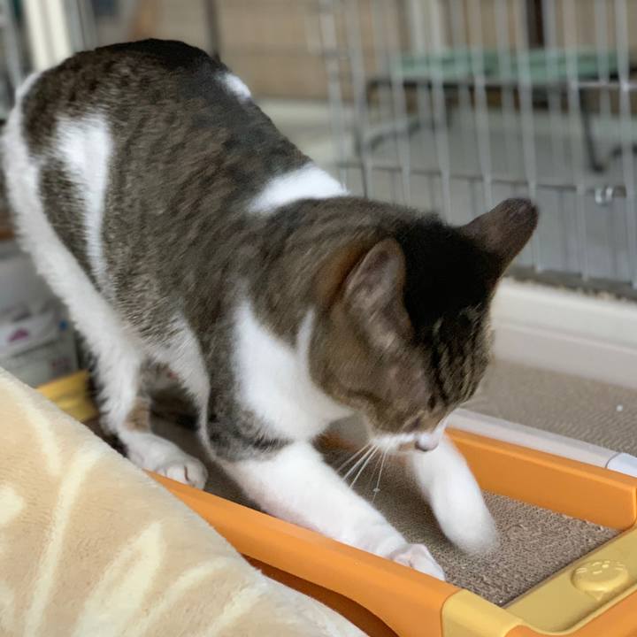 31587572 eadf 44b4 8b93 dac28481456c 1557017663308