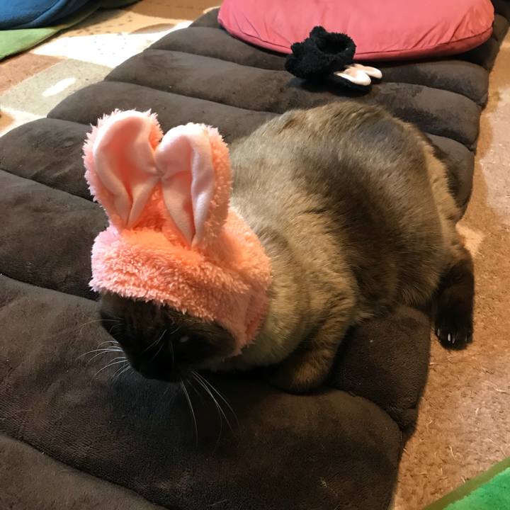 31587a29 a708 4e63 819d 3b5da389d4b8 1518656501016