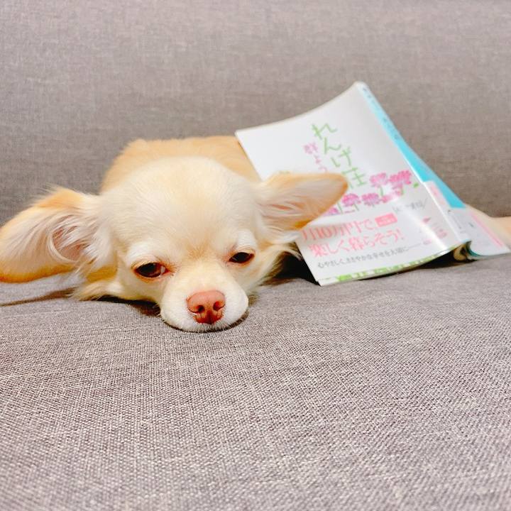 31589231 2943 4574 8aa5 a640062f54fd 1633081604067