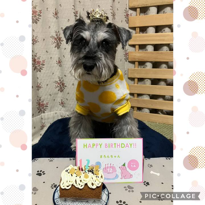 3158a884 c33c 46fe b671 41b9b905b19d 1767535643852