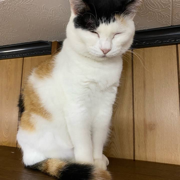 3158d44e 438c 4590 9377 a7df34538fdd 1664368584568