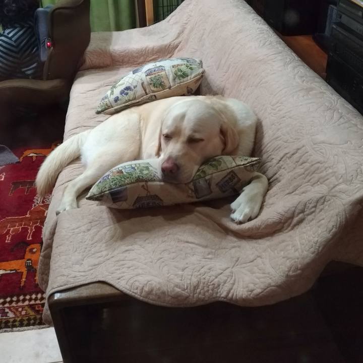 3158eb1f 87b8 4fb0 9203 3211d9ea7e37 1554031838272