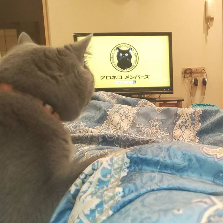 3158fd95 e808 4b25 bd5d c709adc5a42c 1541167770912