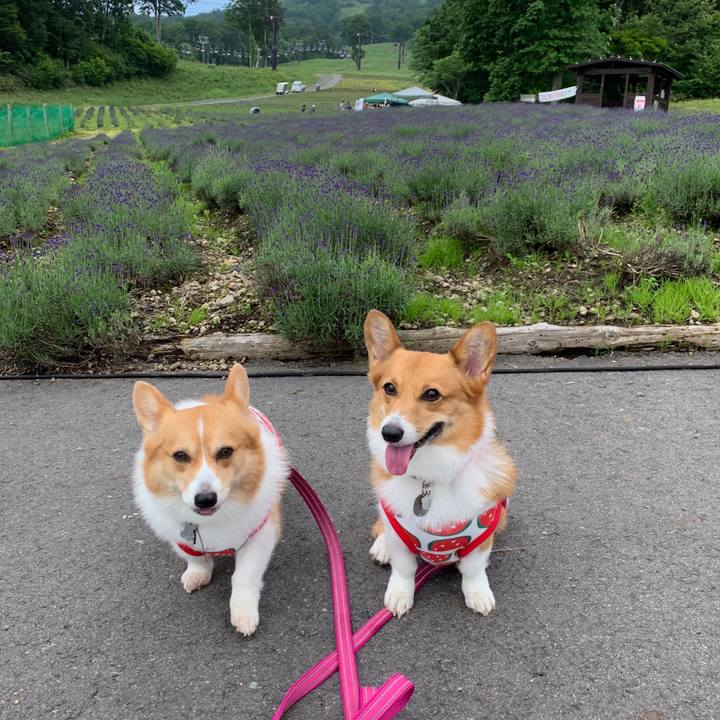 31594686 d3dd 4cbe 9ed2 5dcbca851d3e 1563359282235