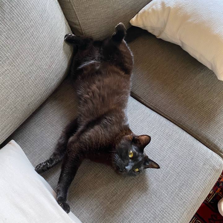 31595818 5b50 4a00 8977 dcaee634fd0f 1592979029750