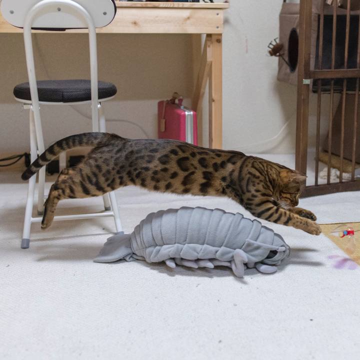 3159f7d2 cf1d 49e5 bdd1 523ad8933571 1521386398867