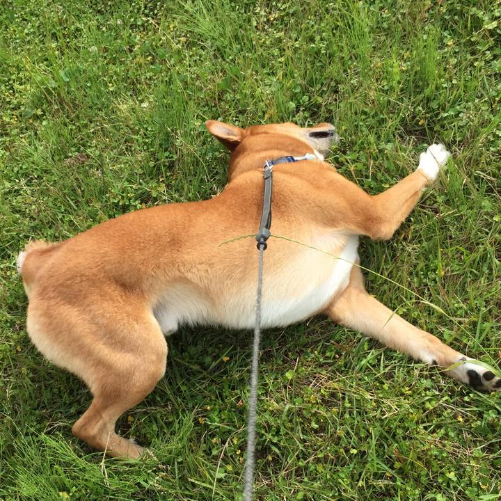 315a138e 499a 45a9 a829 e1ef871b74d6 1589513790303