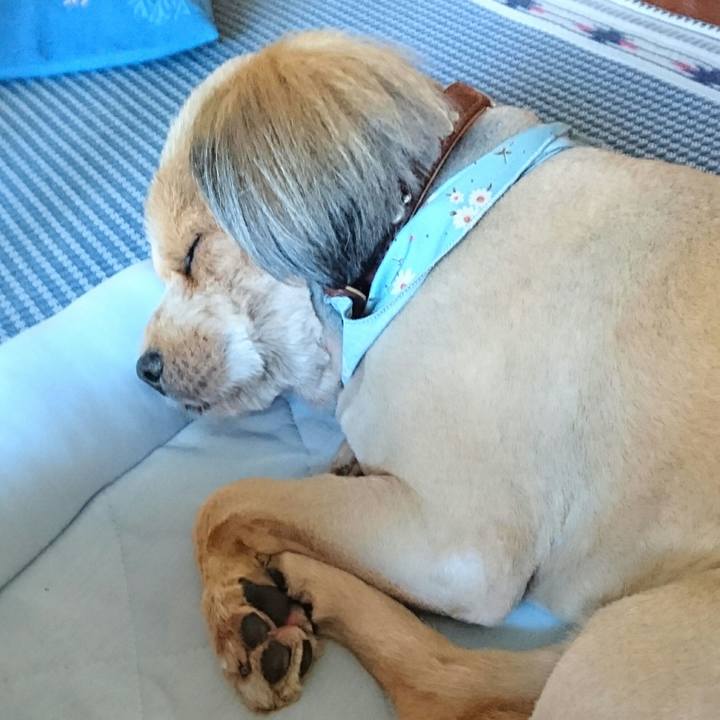 315a7592 5d3c 4b0e 9e11 53452e15f959 1533623138659