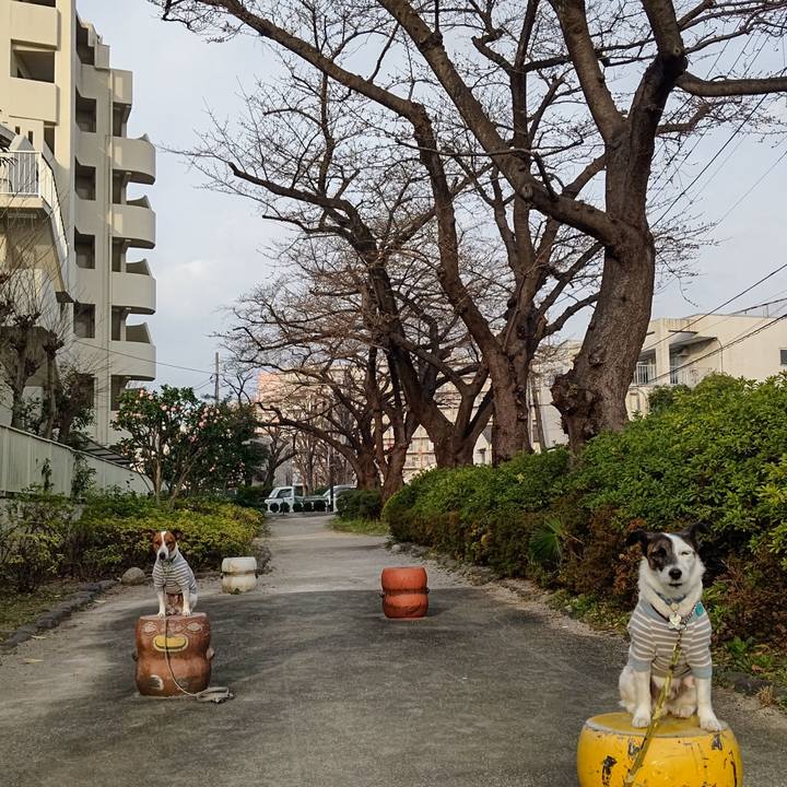 315a7ea8 22f1 42b4 b1d8 54ae69305e6a 1678660465606