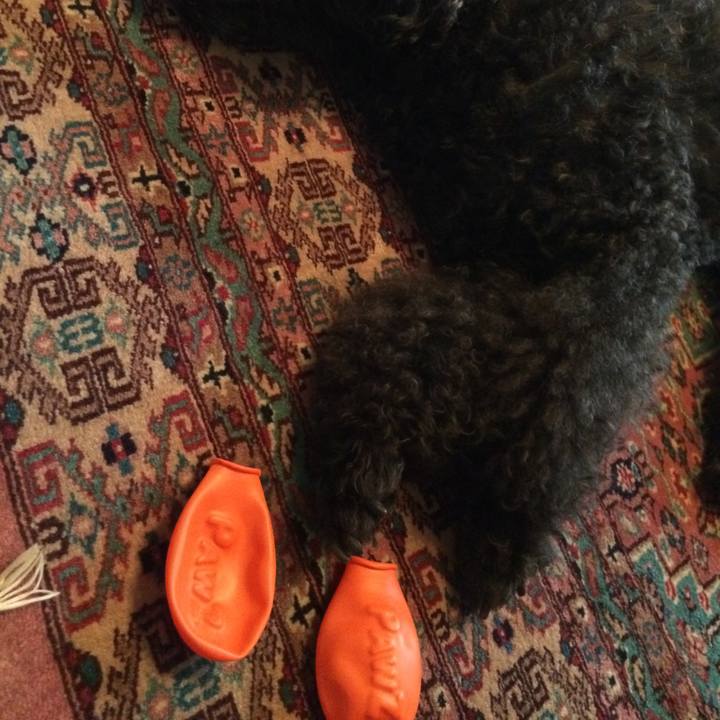 315a7f02 ee40 4535 ac0d ecc3f68395cd 1563947325293