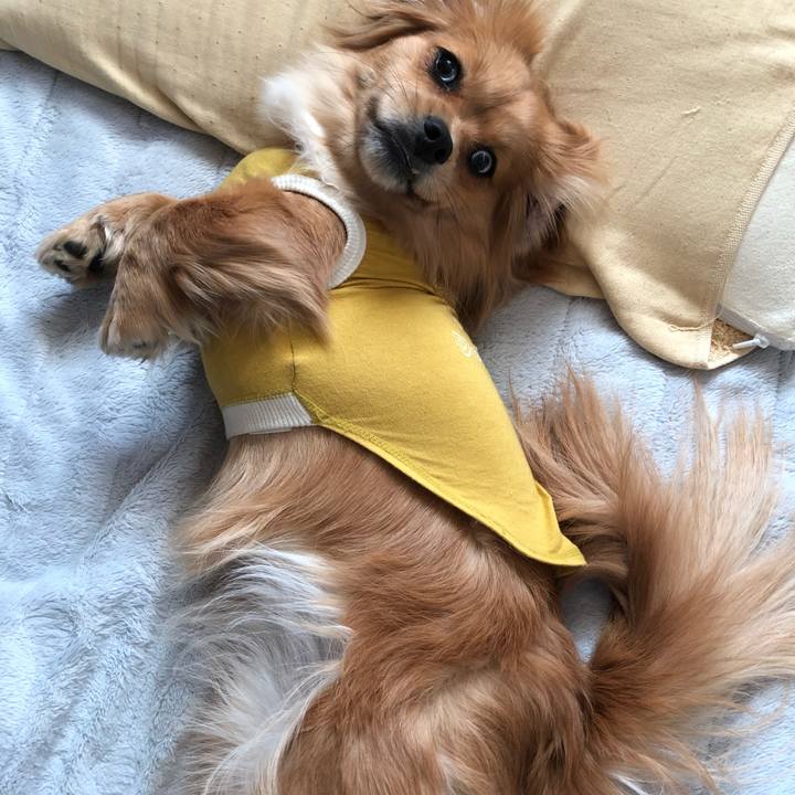 315b1bbc ce17 4865 a92b 60eab17cec80 1520041031151