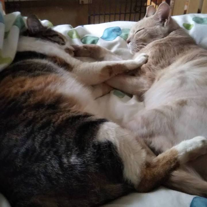 315b2088 06da 411c 8654 3cce2e491c8b 1683442254502